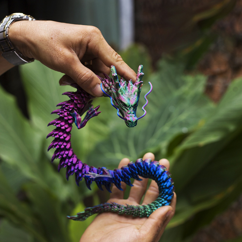 Modèle de Dragon d'impression  - 3D Printing Household Items avis et prix